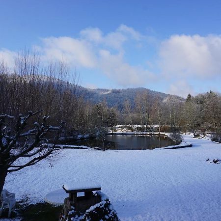 La maison et l'étang - grand terrain privé Vagney Extérieur photo