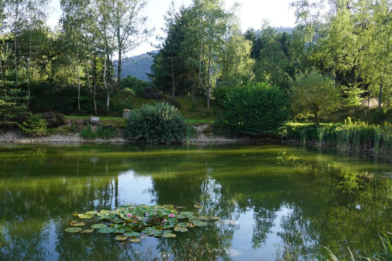 La maison et l'étang - grand terrain privé Vagney Extérieur photo