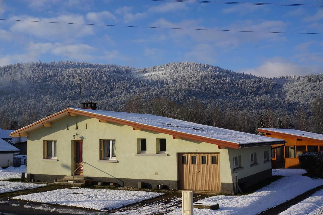 La maison et l'étang - grand terrain privé Vagney Extérieur photo