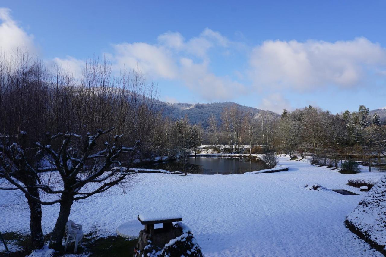 La maison et l'étang - grand terrain privé Vagney Extérieur photo